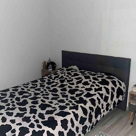 Meyzieu : Superbe Appartement Tres Cosy. מייזיו מראה חיצוני תמונה