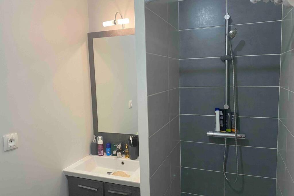 Meyzieu : Superbe Appartement Tres Cosy. מייזיו מראה חיצוני תמונה